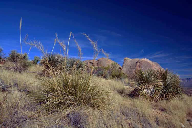 hike scene